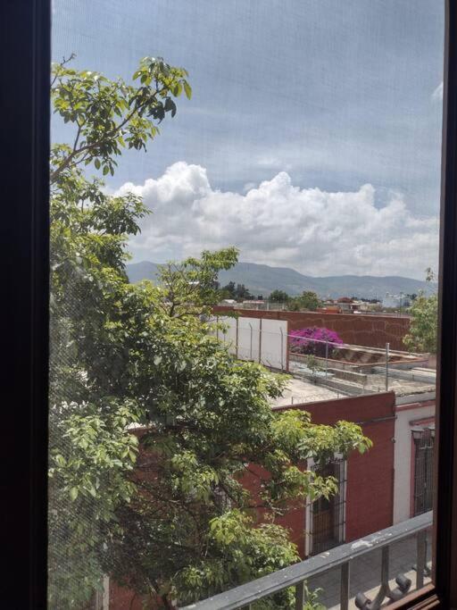 M1010 Agradable Departamento Centrico En Oaxaca公寓 外观 照片